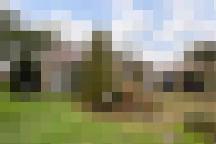 Meekmastrjitte 23 Broeksterwâld thumbnail 47