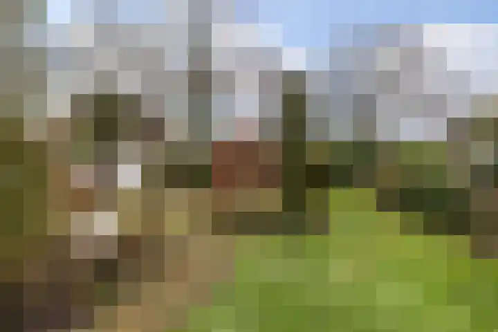 Meekmastrjitte 23 Broeksterwâld thumbnail 48