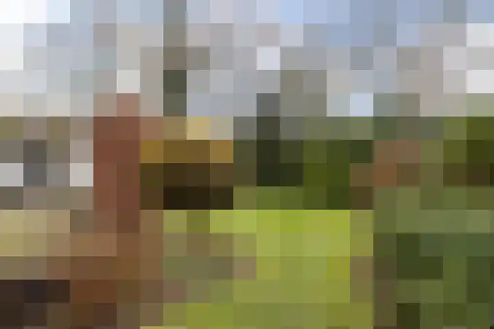Meekmastrjitte 23 Broeksterwâld thumbnail 49