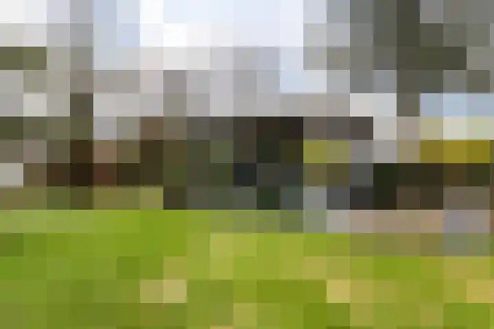 Meekmastrjitte 23 Broeksterwâld thumbnail 50