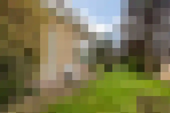 Meekmastrjitte 23 Broeksterwâld thumbnail 52