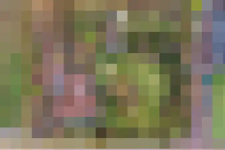 Meekmastrjitte 23 Broeksterwâld thumbnail 53