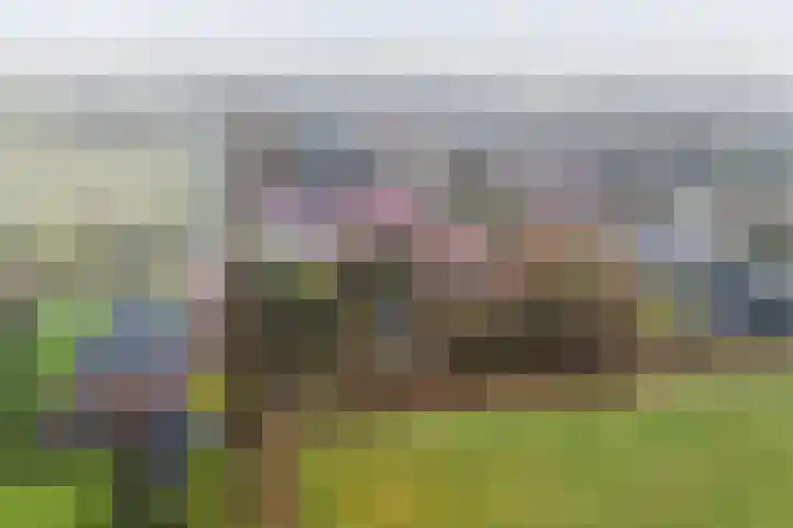 Meekmastrjitte 23 Broeksterwâld thumbnail 6