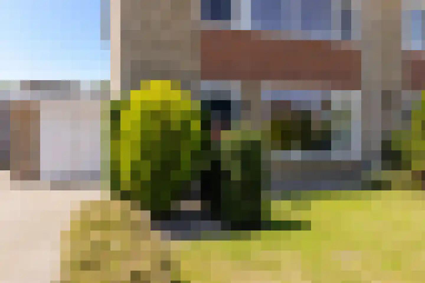 Meekmastrjitte 24 Ferwert thumbnail 11