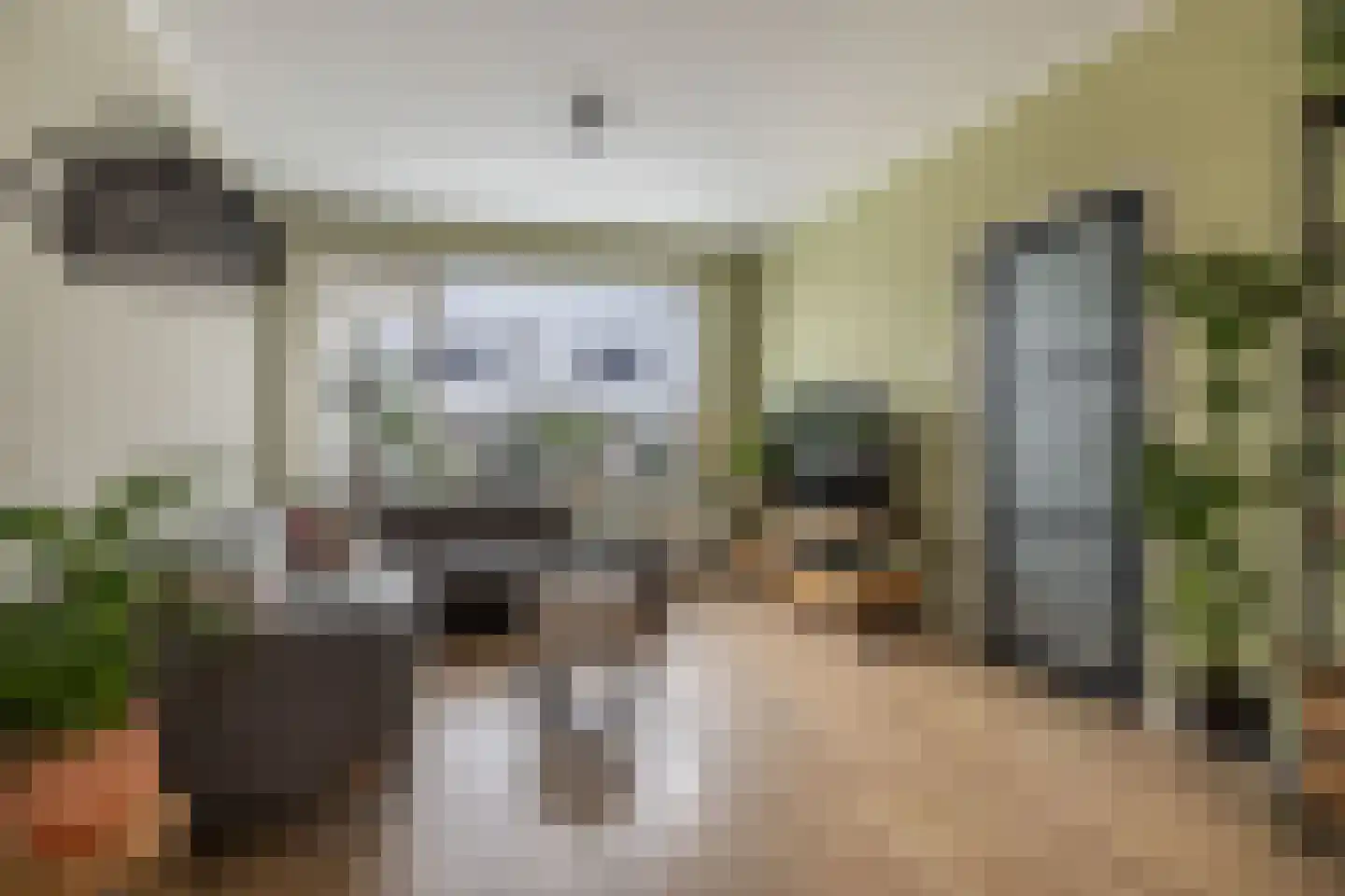Meekmastrjitte 24 Ferwert thumbnail 16