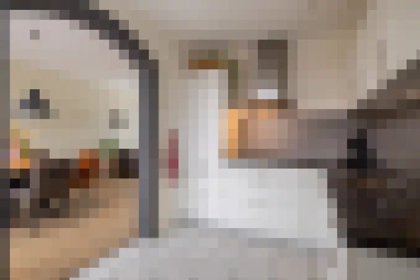 Meekmastrjitte 24 Ferwert thumbnail 22