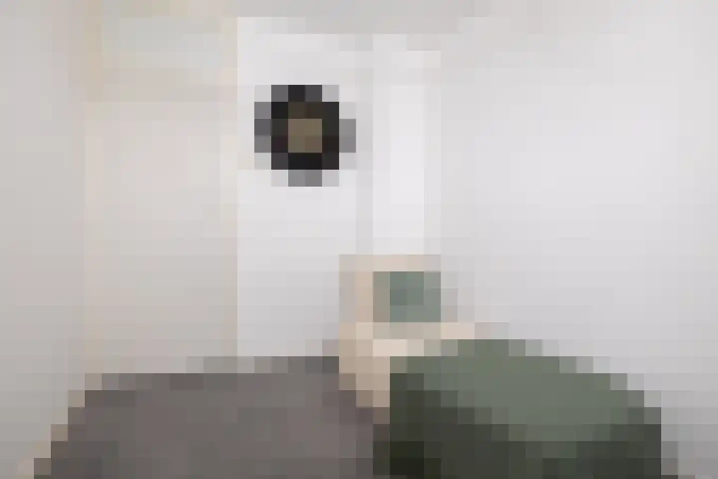 Meekmastrjitte 24 Ferwert thumbnail 35