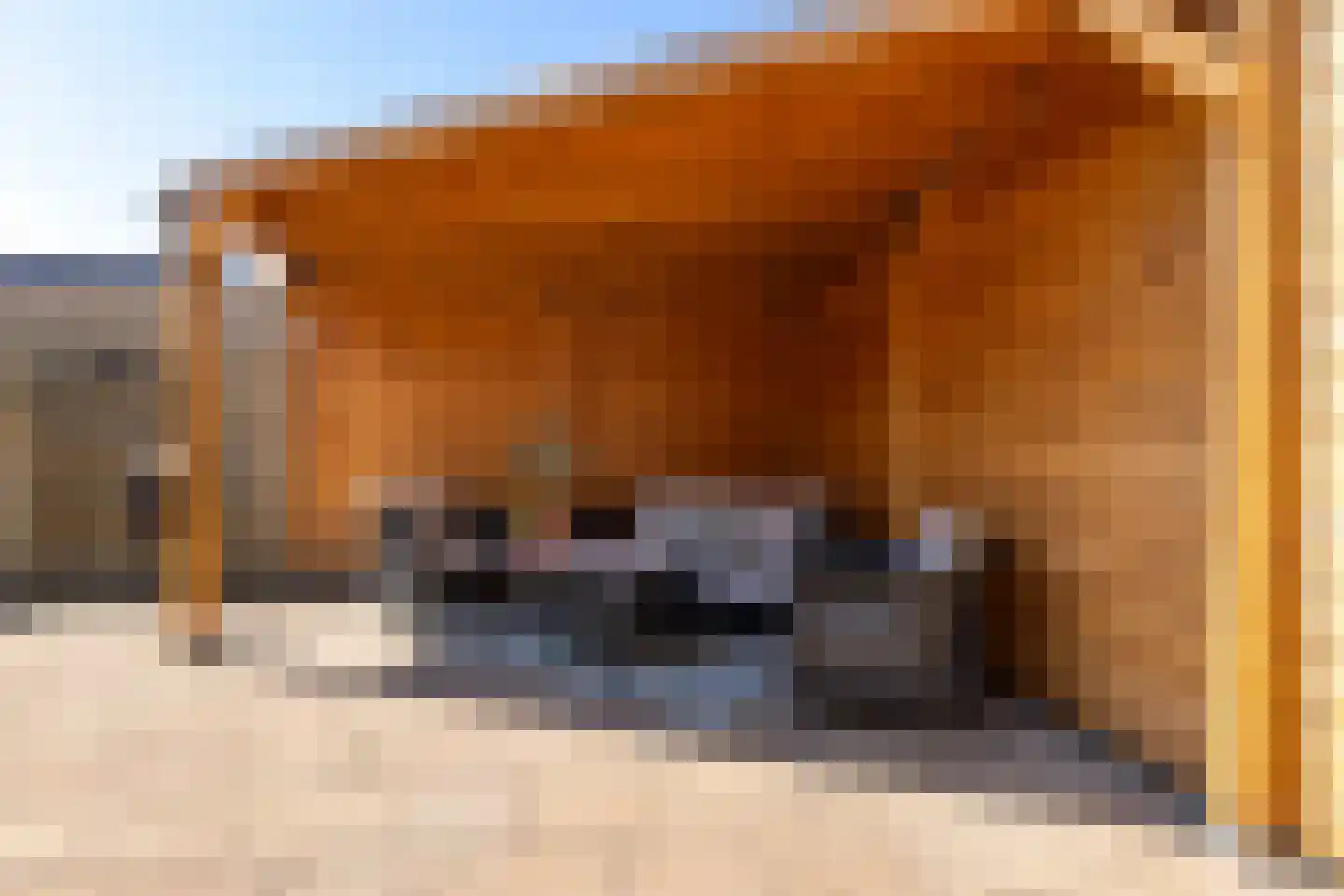 Meekmastrjitte 24 Ferwert thumbnail 48