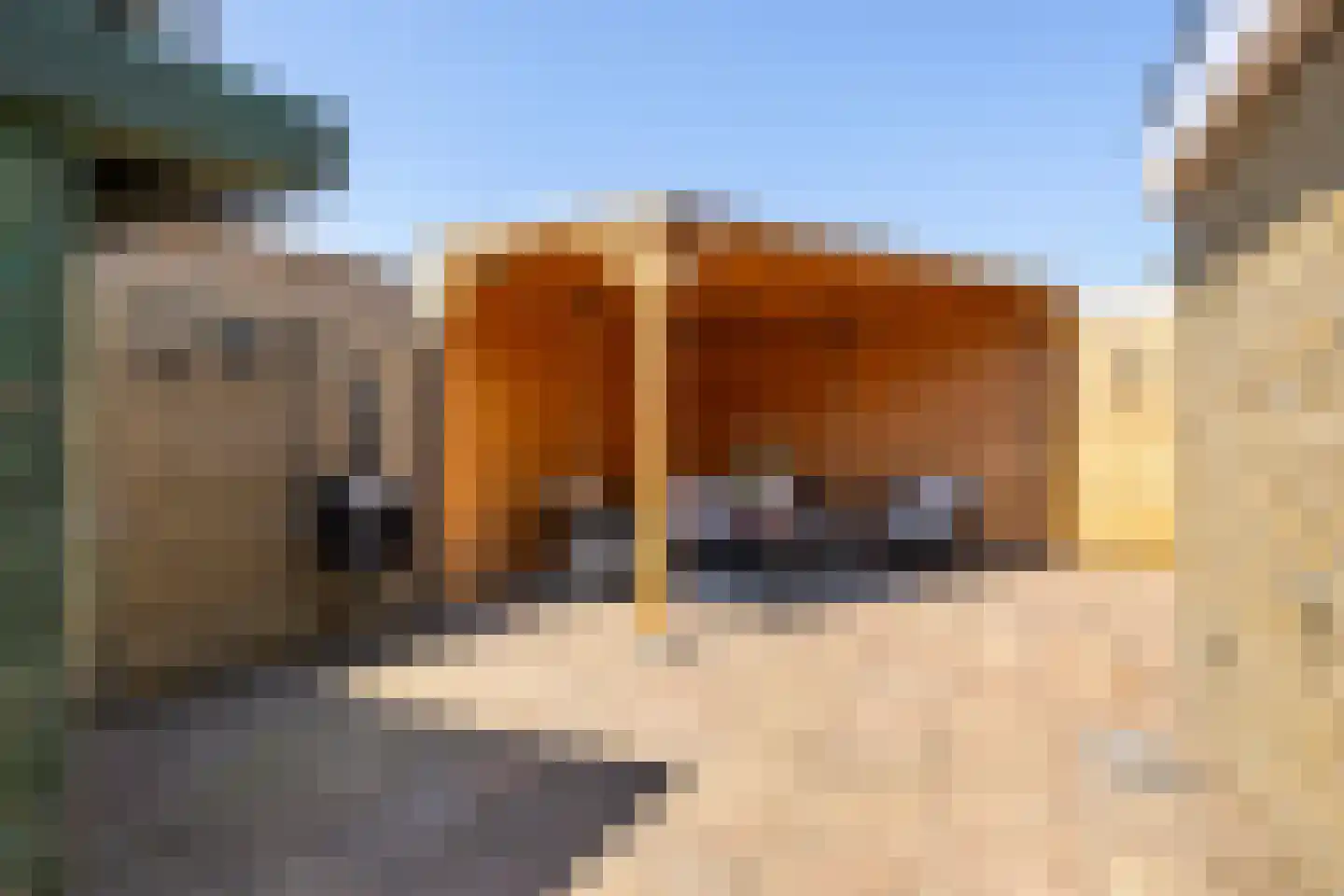 Meekmastrjitte 24 Ferwert thumbnail 49