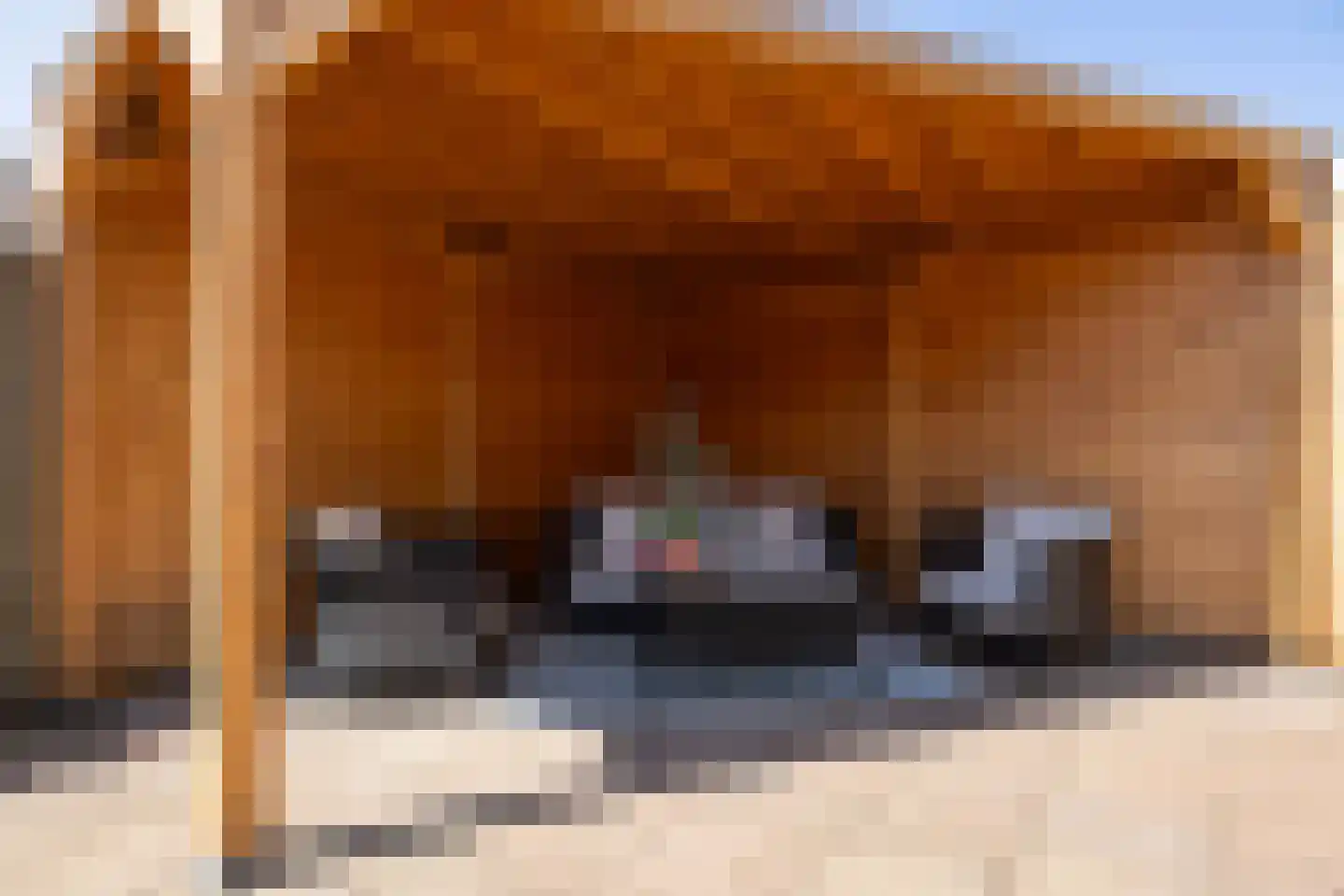 Meekmastrjitte 24 Ferwert thumbnail 50
