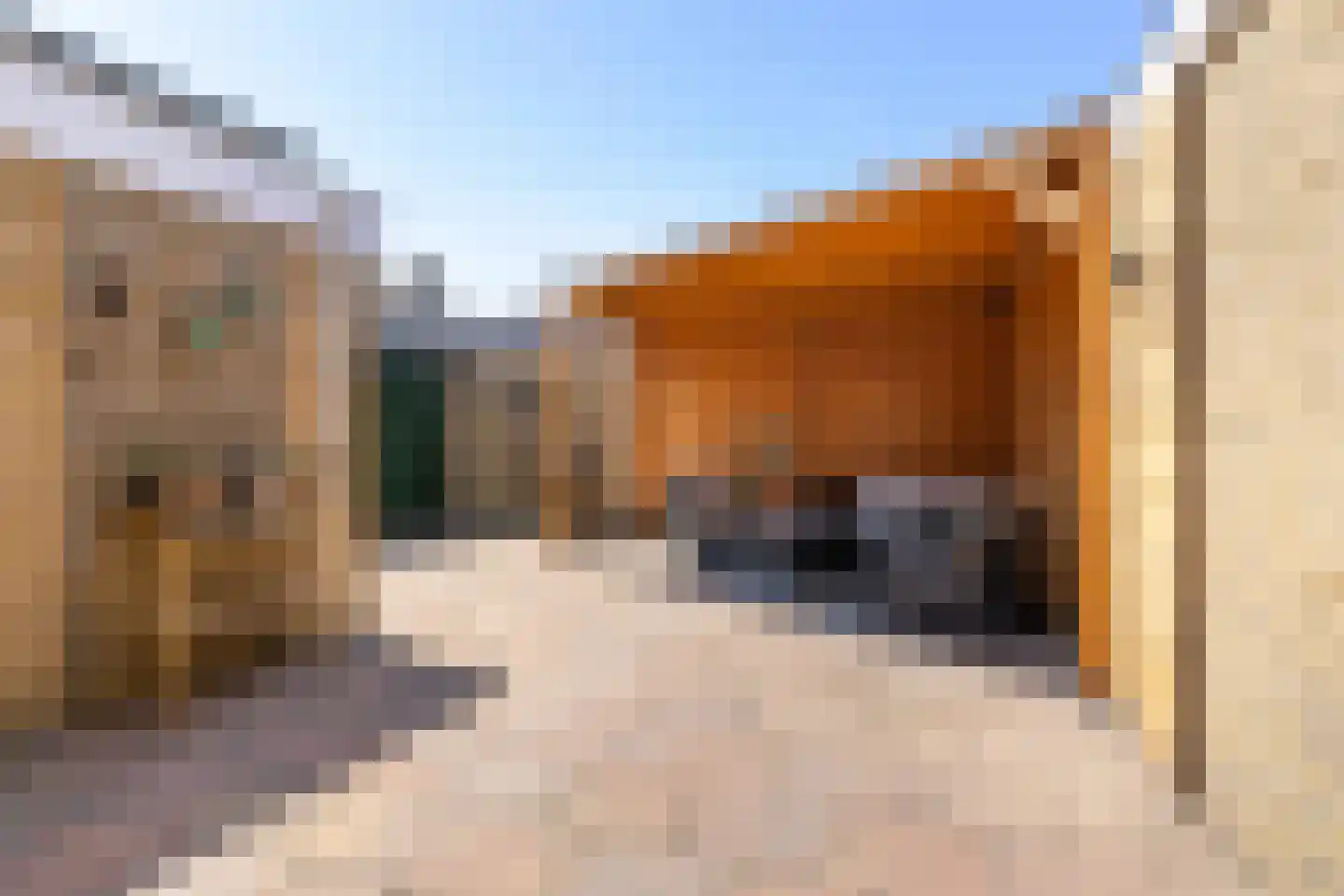 Meekmastrjitte 24 Ferwert thumbnail 6