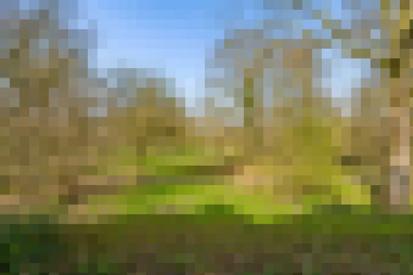 Meekrap-oord 8 Houten thumbnail 12