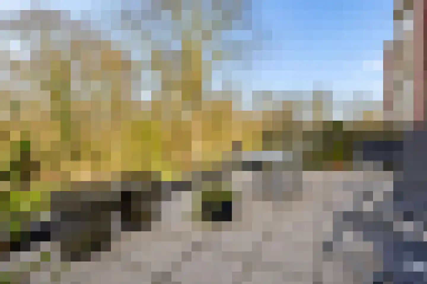 Meekrap-oord 8 Houten thumbnail 14