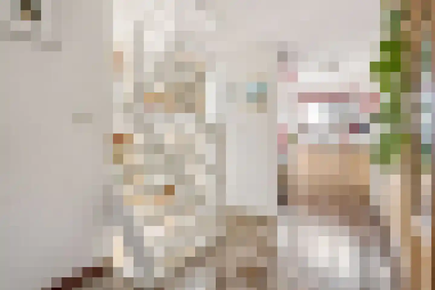 Meekrap-oord 8 Houten thumbnail 21