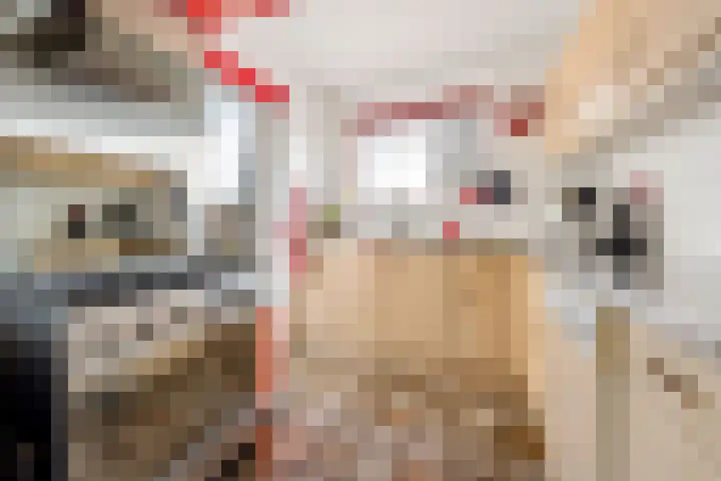 Meekrap-oord 8 Houten thumbnail 22