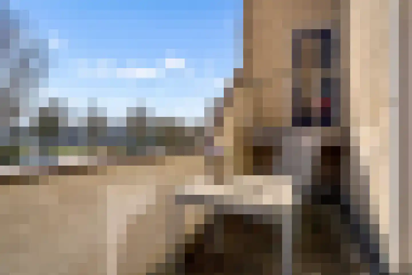 Meekrap-oord 8 Houten thumbnail 25