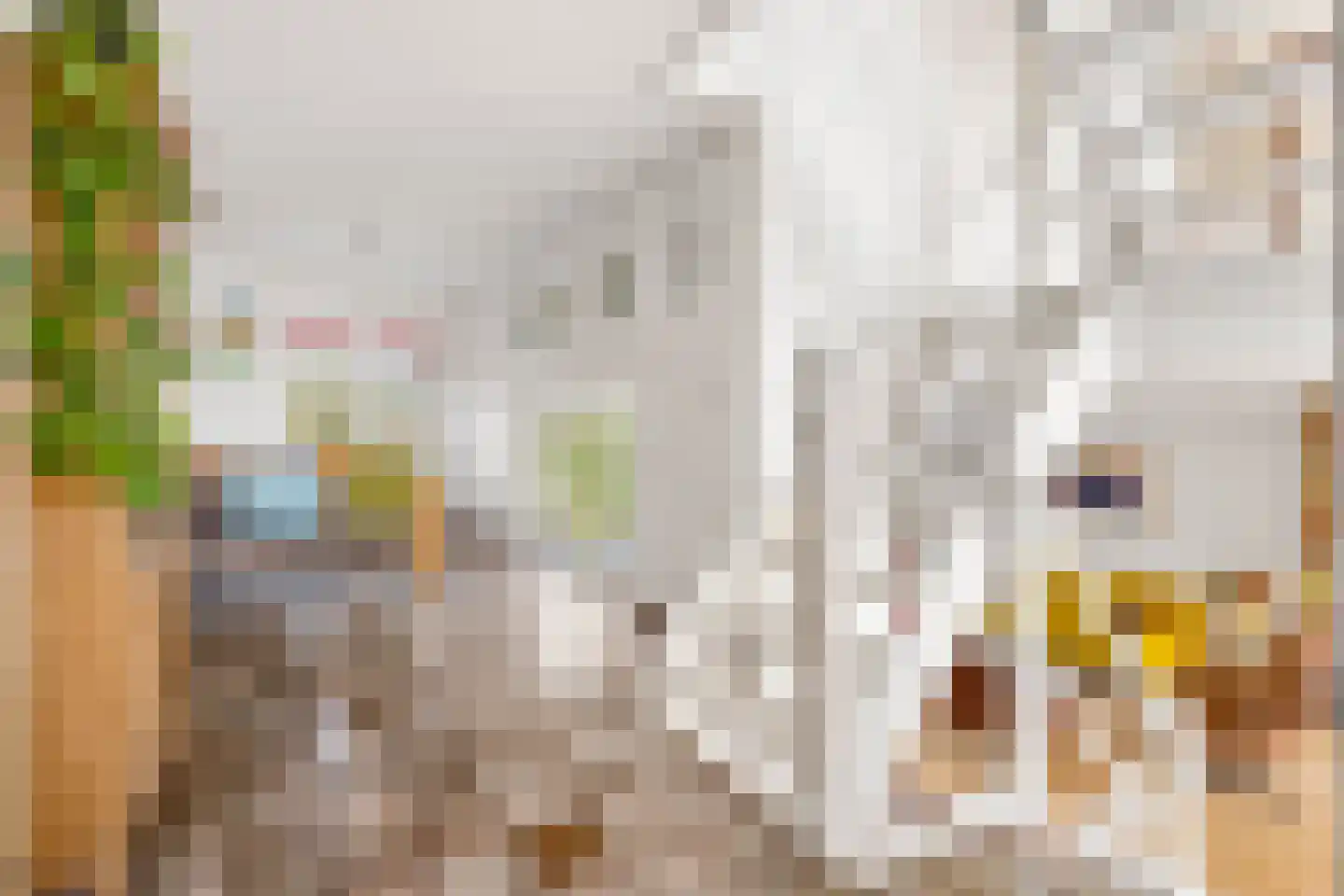 Meekrap-oord 8 Houten thumbnail 28