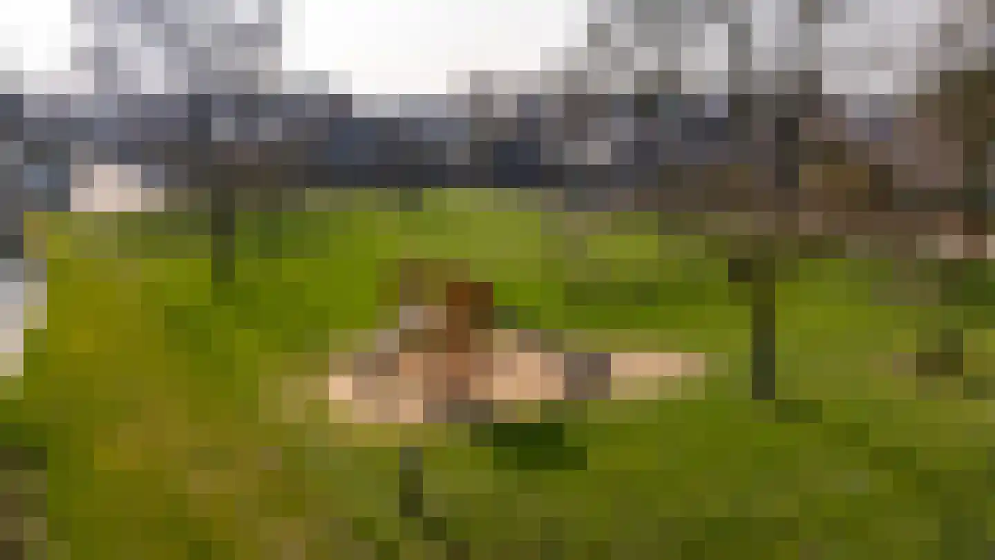 Meekrap-oord 8 Houten thumbnail 49