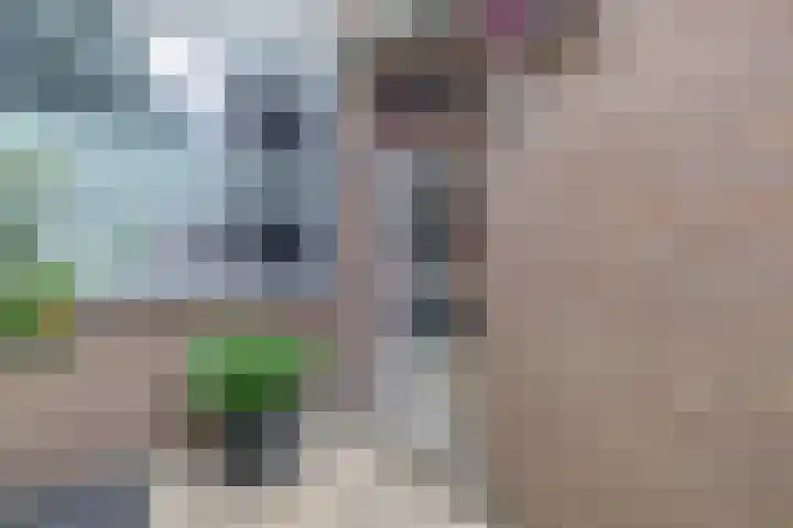 Meekrapdreef 12 Spijkenisse thumbnail 10