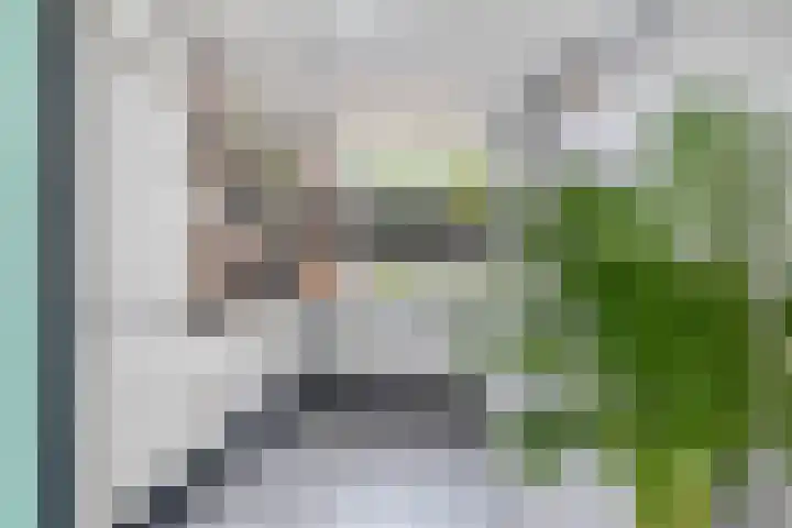 Meekrapdreef 12 Spijkenisse thumbnail 14