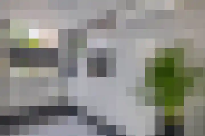 Meekrapdreef 12 Spijkenisse thumbnail 17