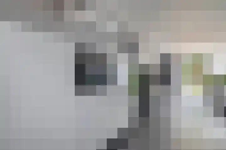 Meekrapdreef 12 Spijkenisse thumbnail 18