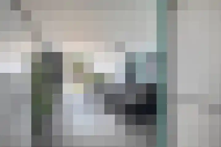 Meekrapdreef 12 Spijkenisse thumbnail 19