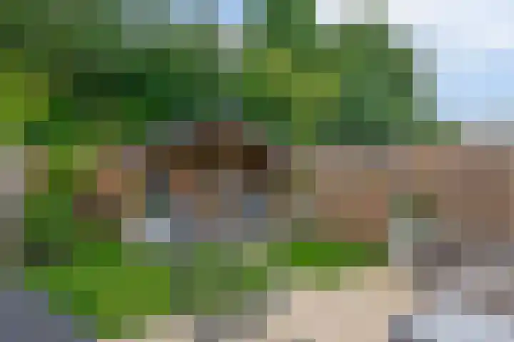 Meekrapdreef 12 Spijkenisse thumbnail 29