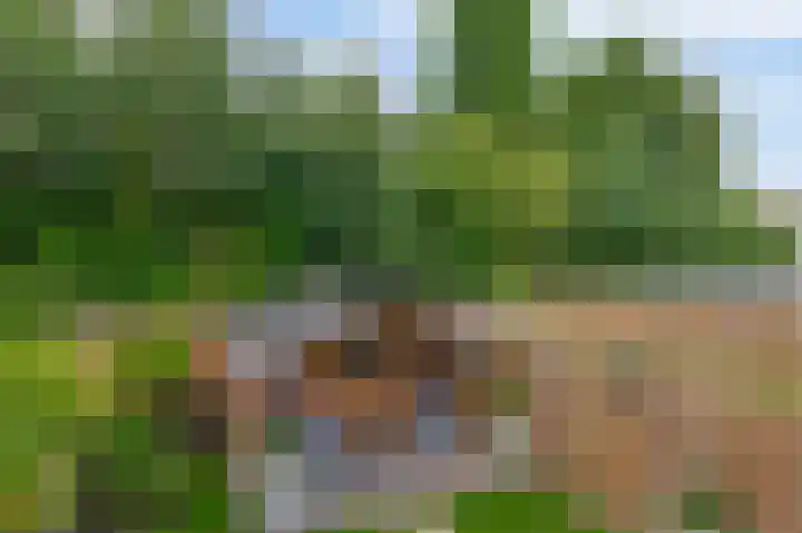 Meekrapdreef 12 Spijkenisse thumbnail 30