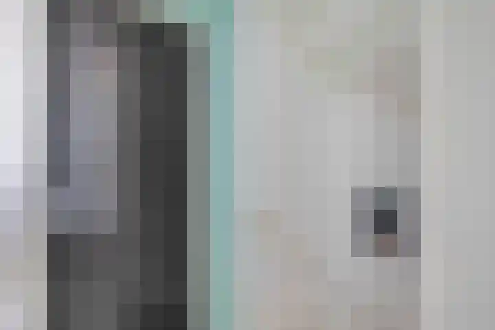 Meekrapdreef 12 Spijkenisse thumbnail 32