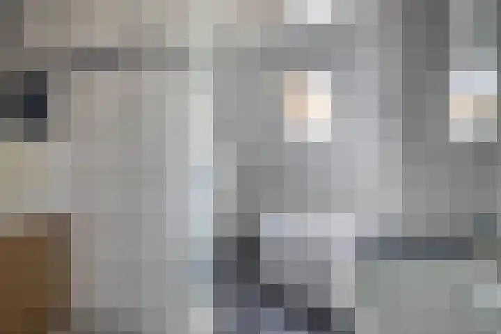 Meekrapdreef 12 Spijkenisse thumbnail 36
