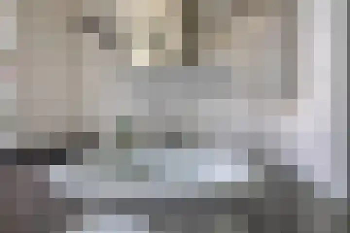 Meekrapdreef 12 Spijkenisse thumbnail 38