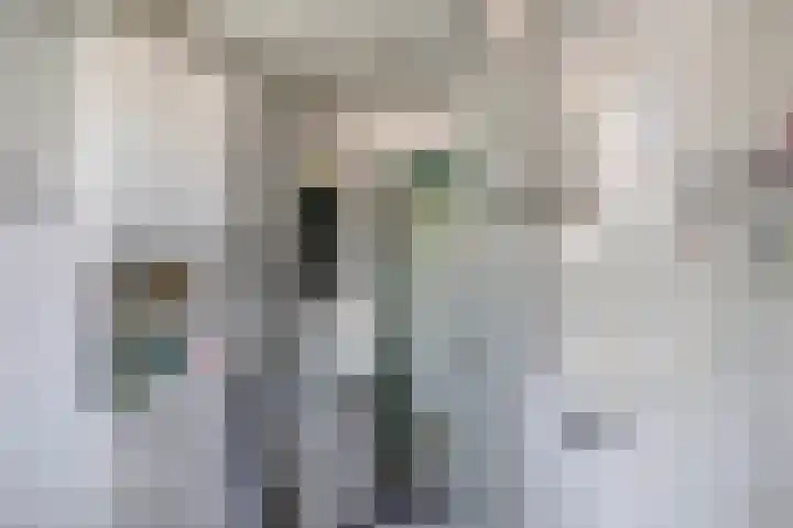 Meekrapdreef 12 Spijkenisse thumbnail 39