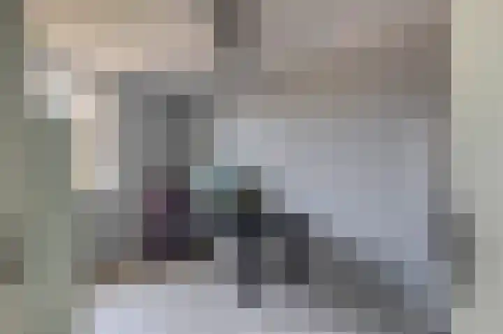 Meekrapdreef 12 Spijkenisse thumbnail 40