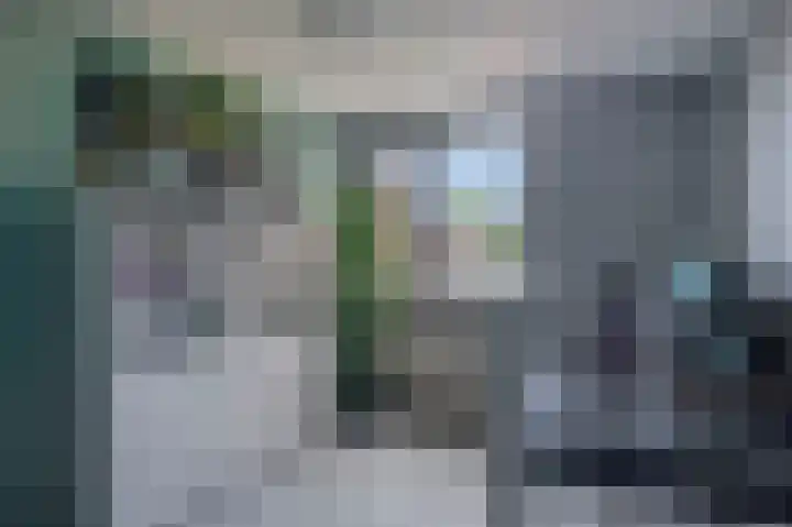 Meekrapdreef 12 Spijkenisse thumbnail 42