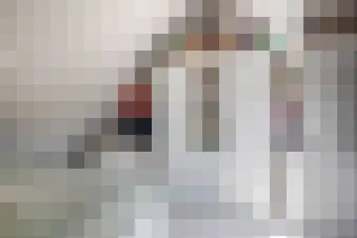 Meekrapdreef 12 Spijkenisse thumbnail 43