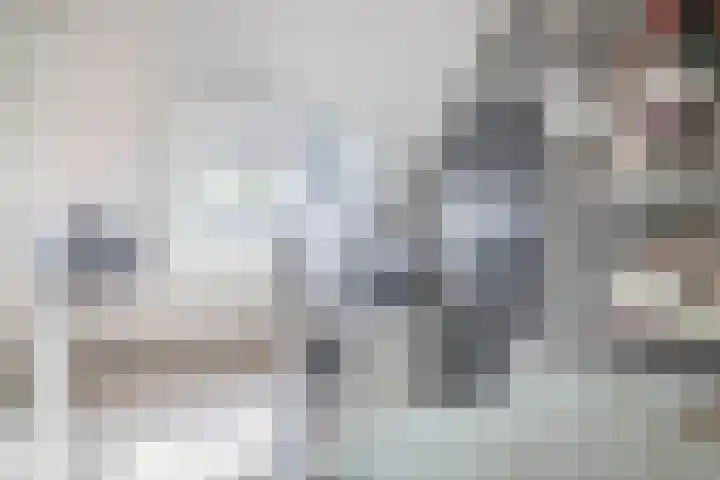 Meekrapdreef 12 Spijkenisse thumbnail 45