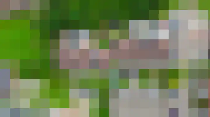 Meekrapdreef 12 Spijkenisse thumbnail 46