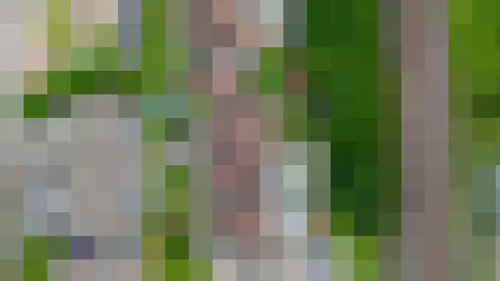 Meekrapdreef 12 Spijkenisse thumbnail 47