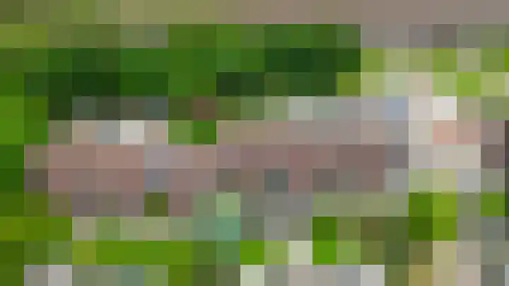 Meekrapdreef 12 Spijkenisse thumbnail 48