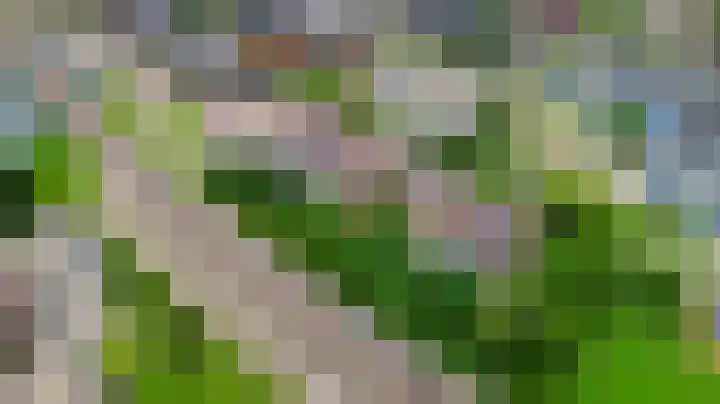 Meekrapdreef 12 Spijkenisse thumbnail 52