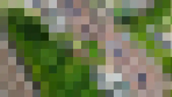 Meekrapdreef 12 Spijkenisse thumbnail 54