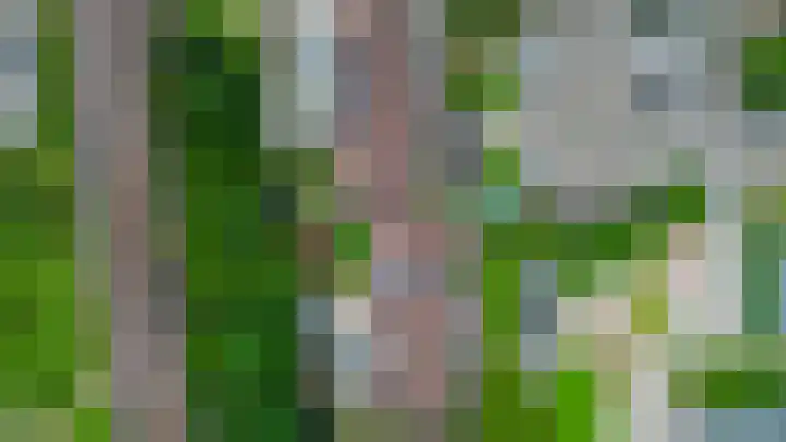 Meekrapdreef 12 Spijkenisse thumbnail 56