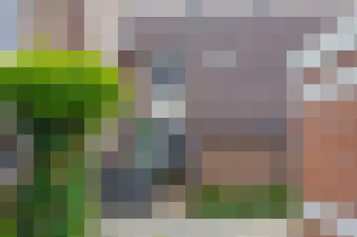 Meekrapdreef 12 Spijkenisse thumbnail 7