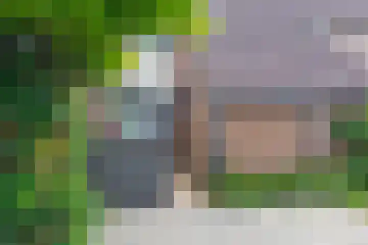 Meekrapdreef 12 Spijkenisse thumbnail 8