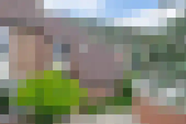 Meekrapdreef 12 Spijkenisse thumbnail 9