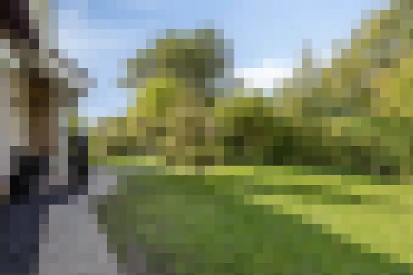 Meekrapstraat 1 Brouwershaven thumbnail 13