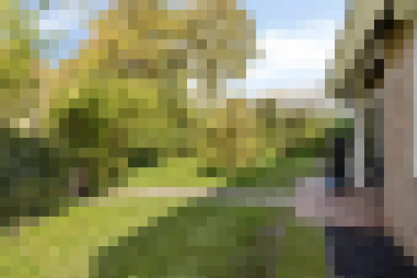 Meekrapstraat 1 Brouwershaven thumbnail 14