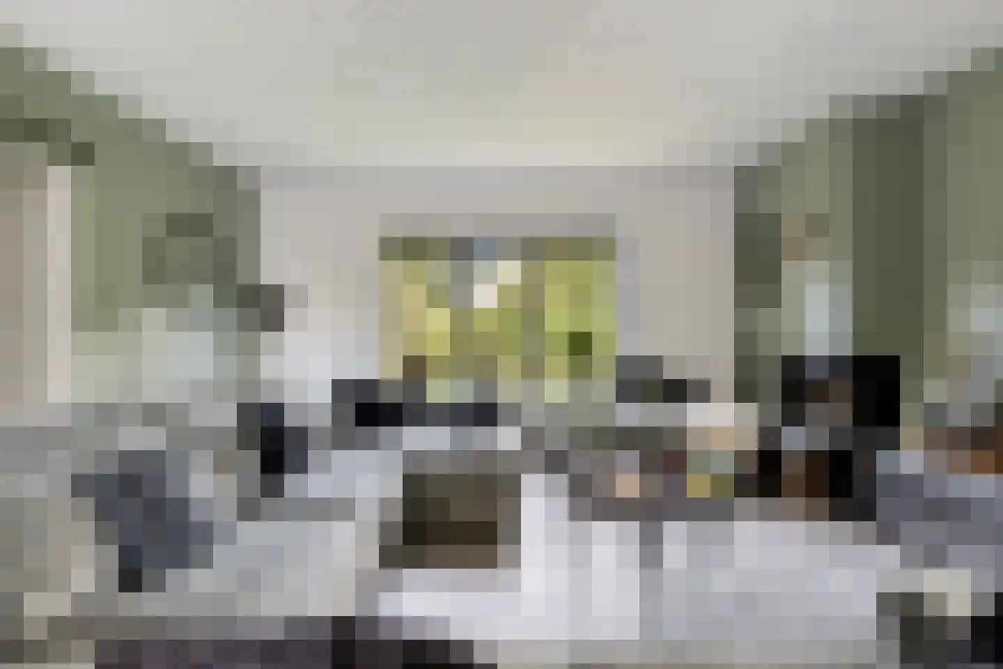 Meekrapstraat 1 Brouwershaven thumbnail 18