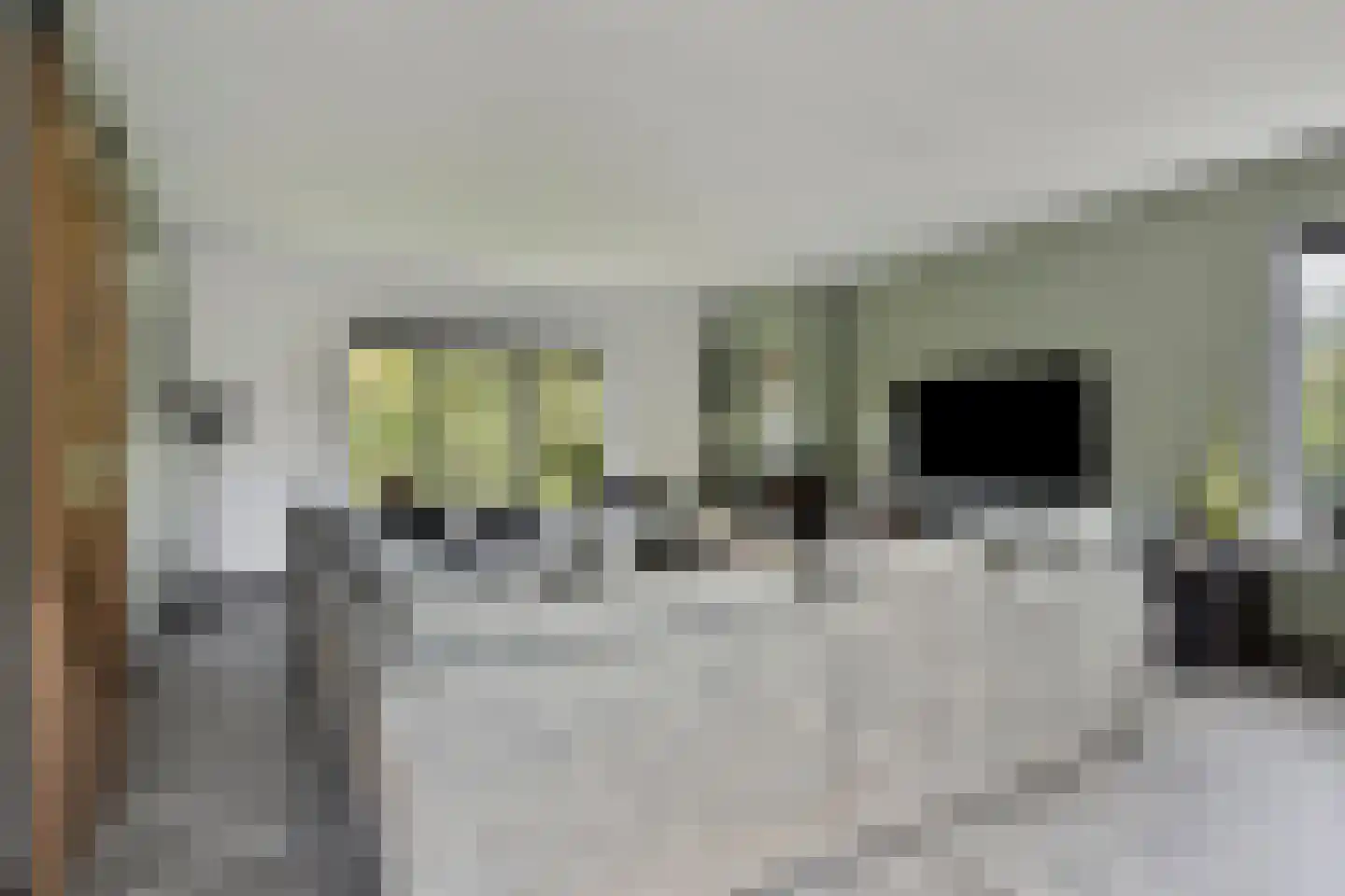Meekrapstraat 1 Brouwershaven thumbnail 19